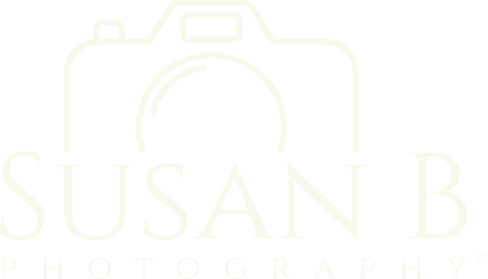 Susan B Photography on the Isle of Wight logo design